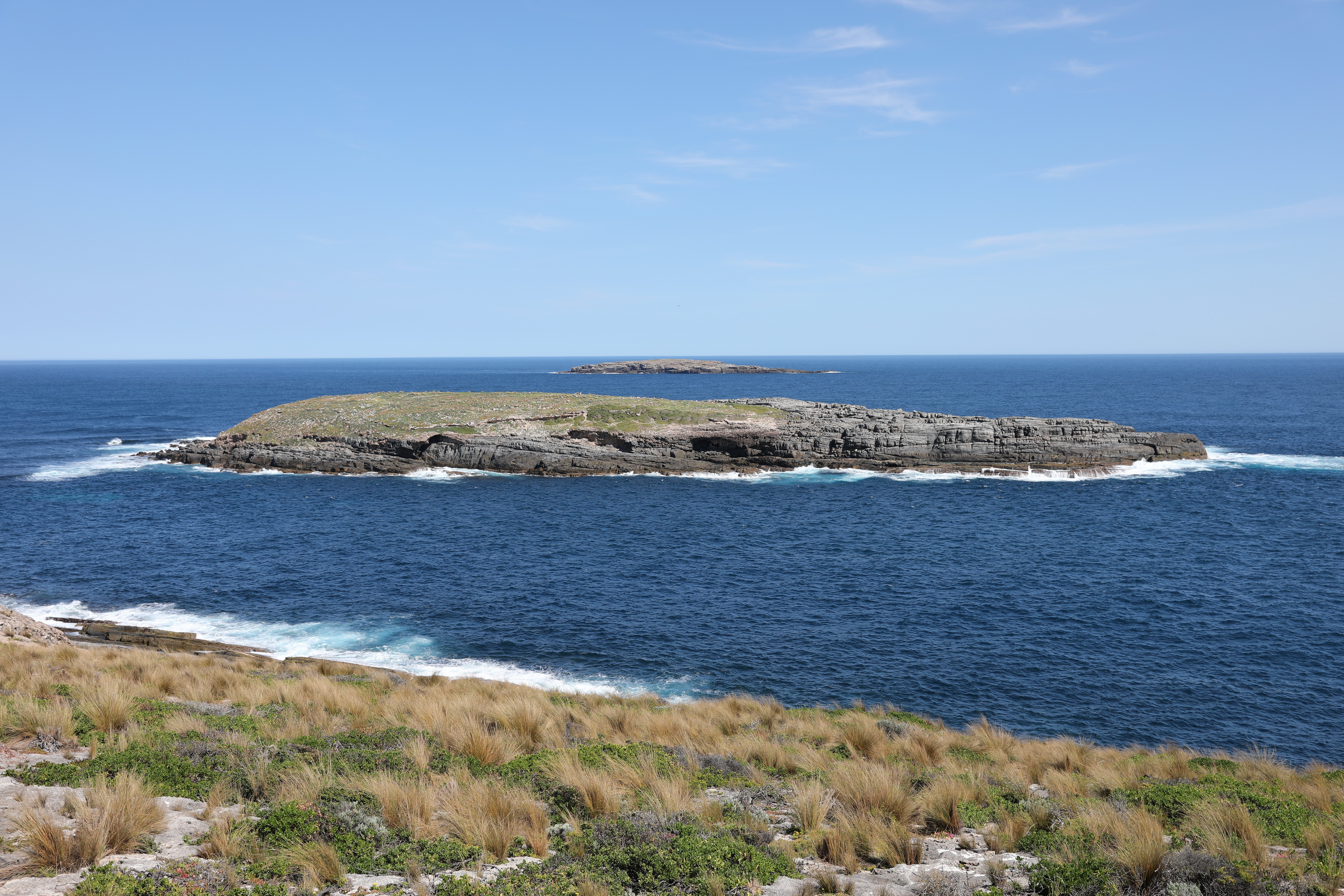 2019 10 01 13 39 22 Canon EOS 5D Mark IV 0023